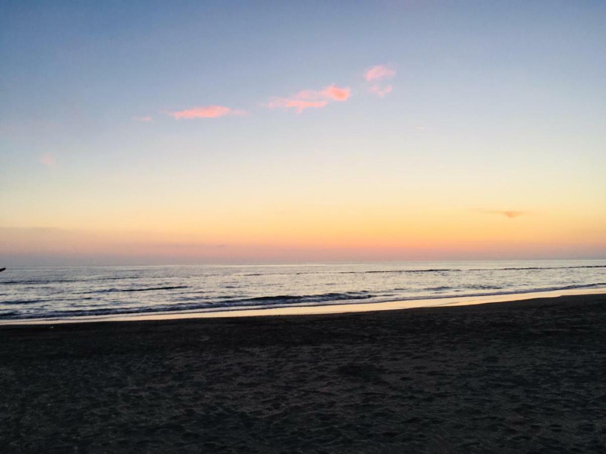 B&B Fiumicino Airport Resort 외부 사진