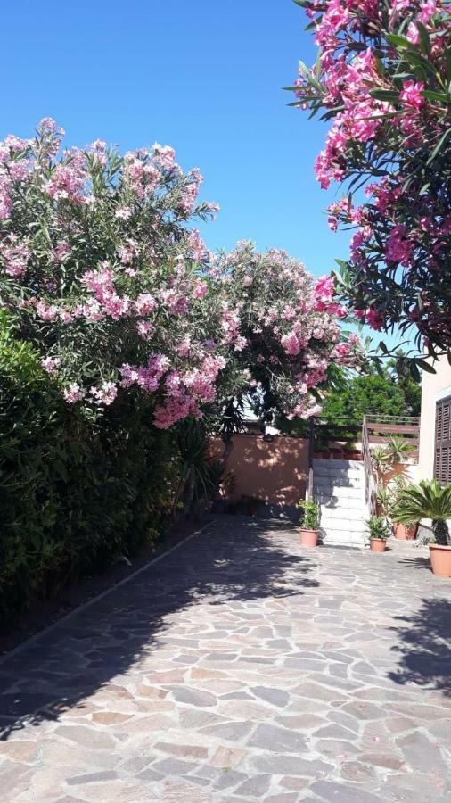 B&B Fiumicino Airport Resort 외부 사진